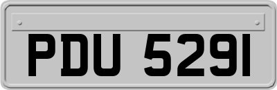 PDU5291