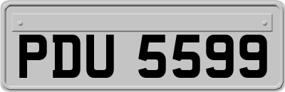 PDU5599