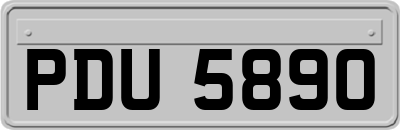 PDU5890