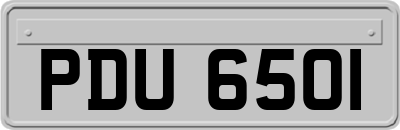PDU6501