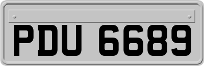 PDU6689