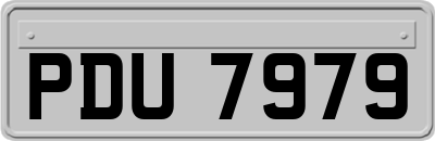 PDU7979