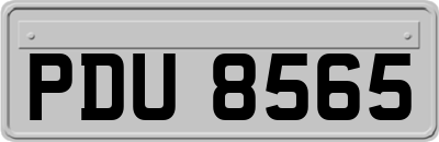 PDU8565
