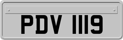 PDV1119