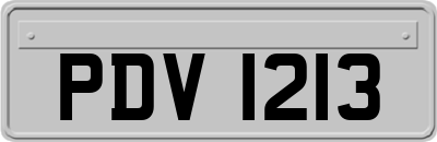 PDV1213