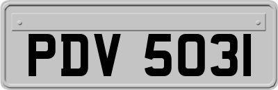 PDV5031