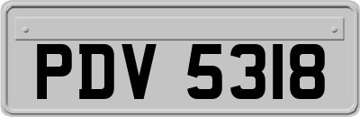 PDV5318
