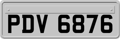PDV6876