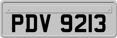 PDV9213
