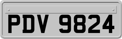 PDV9824