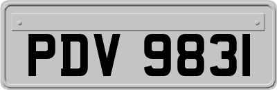 PDV9831