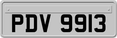 PDV9913