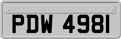 PDW4981