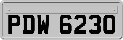 PDW6230
