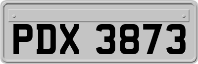 PDX3873