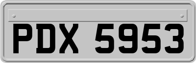 PDX5953