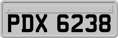 PDX6238