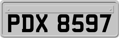PDX8597