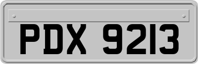 PDX9213