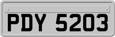 PDY5203