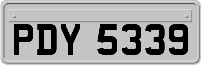PDY5339