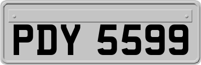 PDY5599