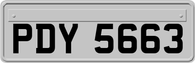 PDY5663