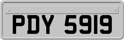 PDY5919