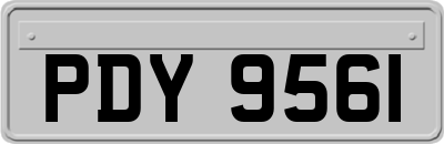 PDY9561