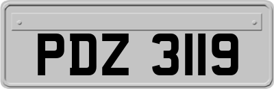 PDZ3119