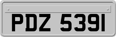 PDZ5391
