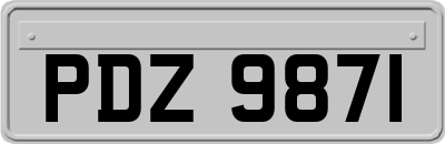 PDZ9871