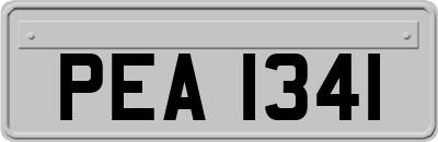 PEA1341