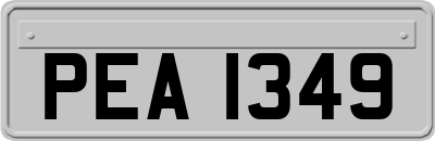 PEA1349