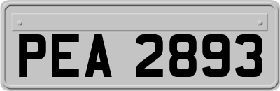 PEA2893
