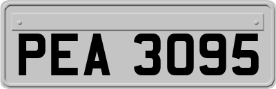 PEA3095