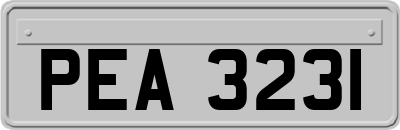 PEA3231