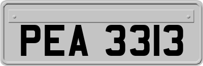 PEA3313