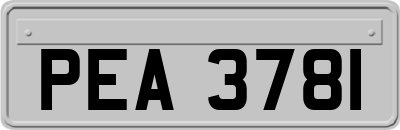 PEA3781