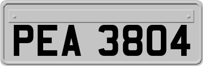 PEA3804