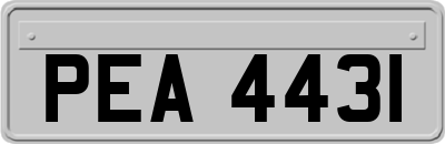 PEA4431