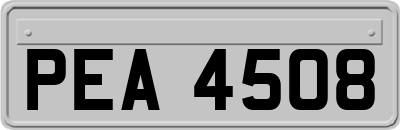 PEA4508
