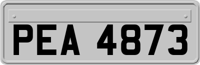 PEA4873