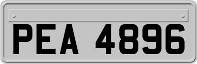 PEA4896