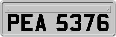 PEA5376