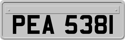 PEA5381