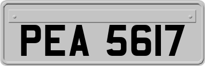 PEA5617