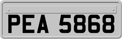 PEA5868