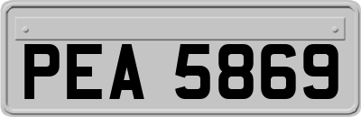 PEA5869