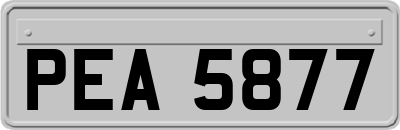 PEA5877